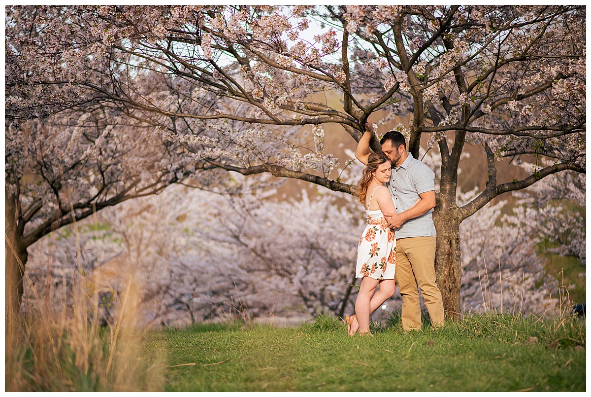 Brookside Reservation in Cleveland Ohio, Metroparks, Cherry Blossom, Cherry Blossom Engagement Session, Cherry Blossom photos, engagement session ideas, photo outfit ideas, spring photos, cleveland photographer, ohio photographer, midwest photographer, best wedding photographer, ohio engagement session